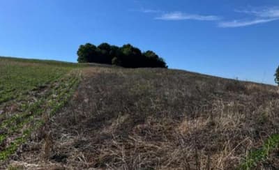 Foto 3 de 6: Area Rural em leilão em São José Das Missões - RS — IMÓVEL RURAL COM ÁREA DE 33.116,81M2 EM SÃO JOSÉ DAS MISSÕES -RS