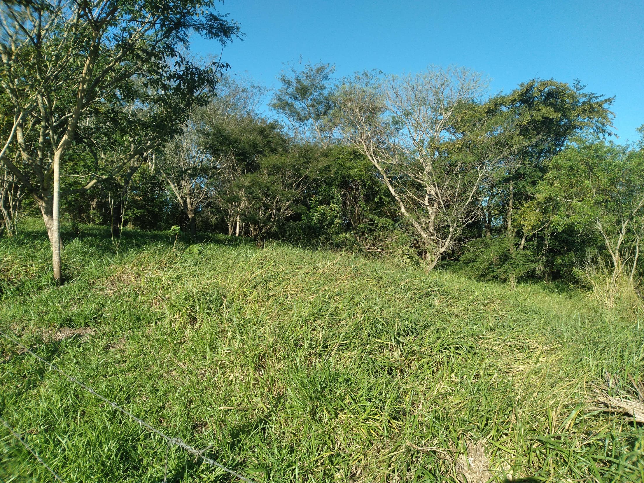Foto 16 de 41: Area Rural em leilão em Capitão Leônidas Marques - PR — Gleba Urbana Desocupada 27.837m2 no Bairro São Gabriel em Capitão Leonidas Marques/PR
