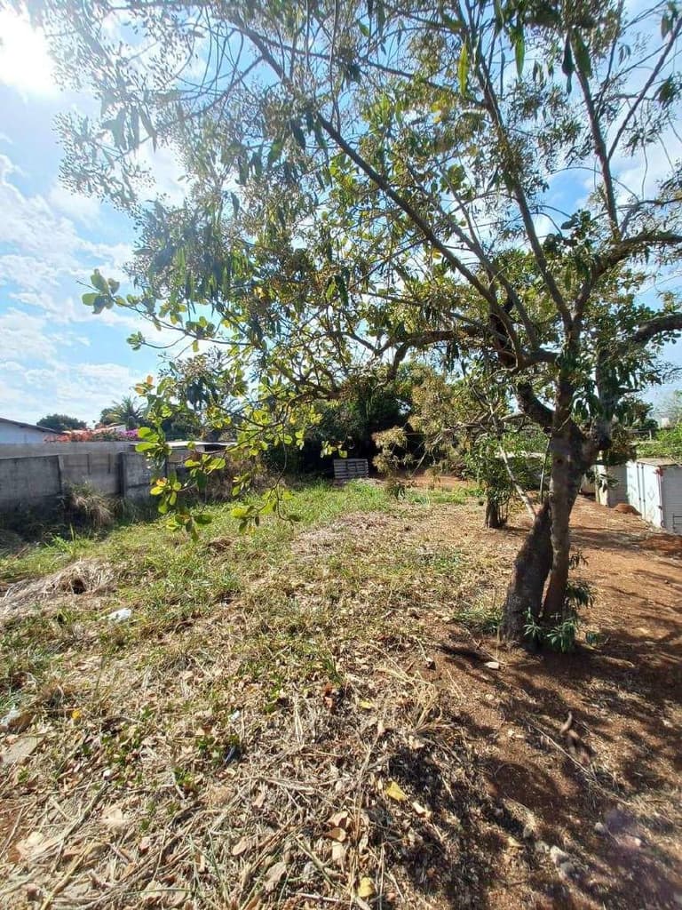 Foto 5 de 6: Terreno em leilão em Saltinho - SP — PARTE IDEAL DE 50% DO LOTE URBANO Nº 01 DO LOTEAMENTO JARDIM NOSSA SENHORA APARECIDA II CORRESPONDENTE A 392,00M² SEM BENFEITORIAS ¿ SALTINHO/SP