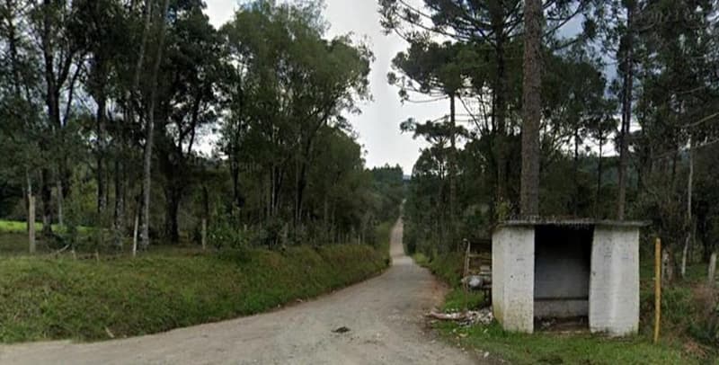 Area Rural em leilão em Cruz Machado - PR — Fazenda em Pinaré, imóvel rural de 1.219,68 hectares (12.196.800,00 m²), Distrito de Santana, Cruz Machado/PR