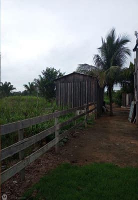 Foto 3 de 9: Area Rural em leilão em Nova Bandeirantes - MT — IMÓVEL RURAL Sítio L & B | A.T. 36,30 HA | NOVA BANDEIRANTES /MT