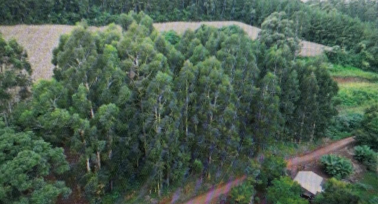 Foto 10 de 16: Area Rural em leilão em Jupiá - SC — Lote Rural 45074m², Linha Pinheiro, Jupiá/SC