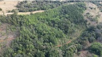 Foto 6 de 11: Area Rural em leilão em Quedas Do Iguaçu - PR, bairro Jardim Alegre — IMÓVEL RURAL COM ÁREA TOTAL DE 11,0255 hectares, EM QUEDAS DO IGUAÇU-PR