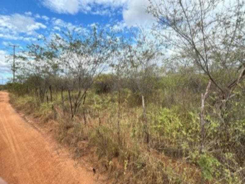 Foto 7 de 7: Area Rural em leilão em Umarizal - RN — Lote, Umarizal / RN
