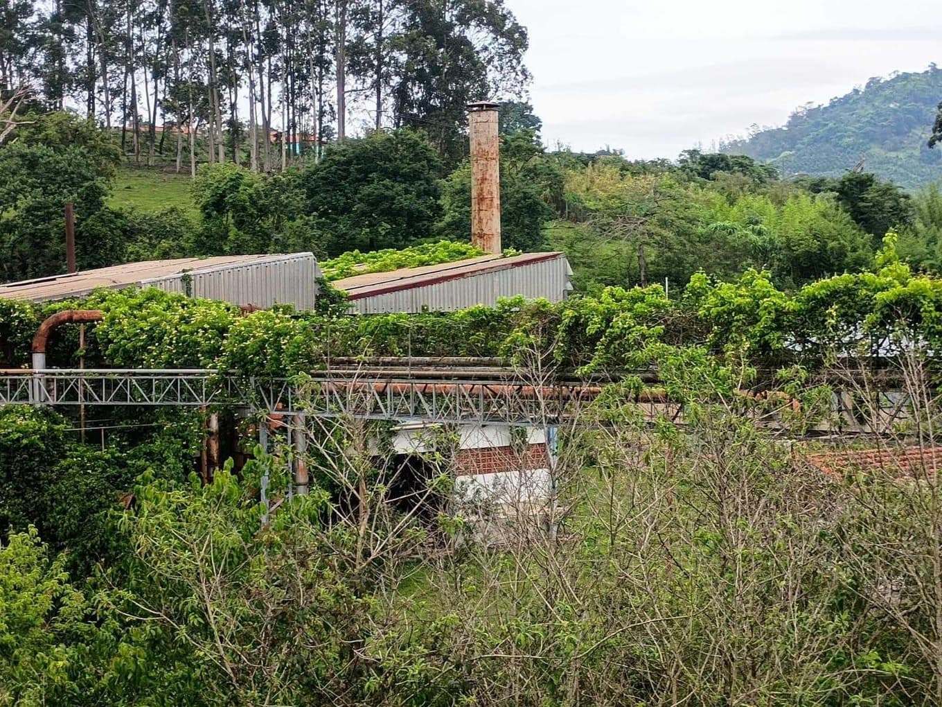 Foto 62 de 70: Area Rural em leilão em Amparo - SP, bairro Três Pontes — Imóvel Rural, A.T. 19ha, A.C. 7.362m², antigo abatedouro, galpões, casas, Três Pontes