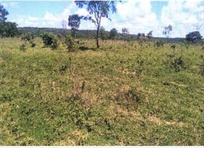 Foto 5 de 5: Area Rural em leilão em Ipameri - GO — IMÓVEL RURAL COM ÁREA DE 16.9400 hectares- Em IPAMERI/GO