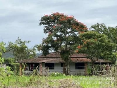 Terreno em leilão em Mongaguá - SP — 2 terrenos, A.T. 33.720m², Balneário Itaguaí