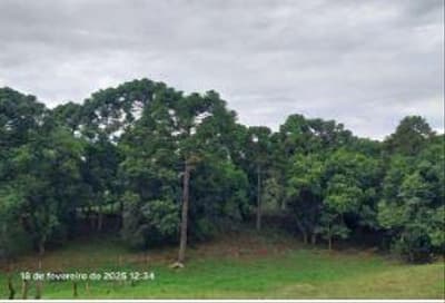 Area Rural em leilão em Castro - PR — Parte ideal de 14,52ha da área total do imóvel rural com 551.000,00m². Localizado no Município de Castro/PR.