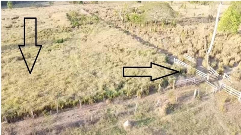 Area Rural em leilão em Cotriguaçu - MT, bairro Cascalheira — IMÓVEL RURAL | 9,32 HA | PECUÁRIA | CHÁCARA LOURENÇO EM COTRIGUAÇU/MT - LEILÃO EMPRESARIAL SISTÊMICO SICREDI