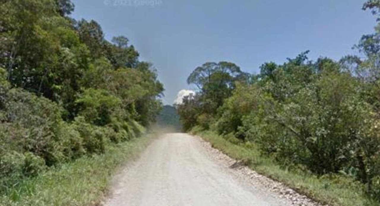 Foto 1 de 6: Area Rural em leilão em Guaraqueçaba - PR — Imóvel rural com 249,80 hectares, em Guaraqueçaba/PR.