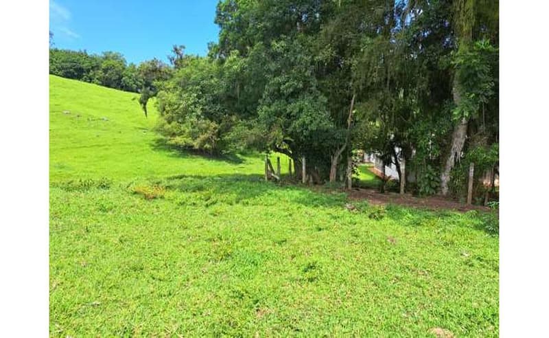 Foto 23 de 27: Terreno em leilão em Blumenau - SC — Imóvel urbano com área total de 35.820,27 m² em Blumenau/SC
