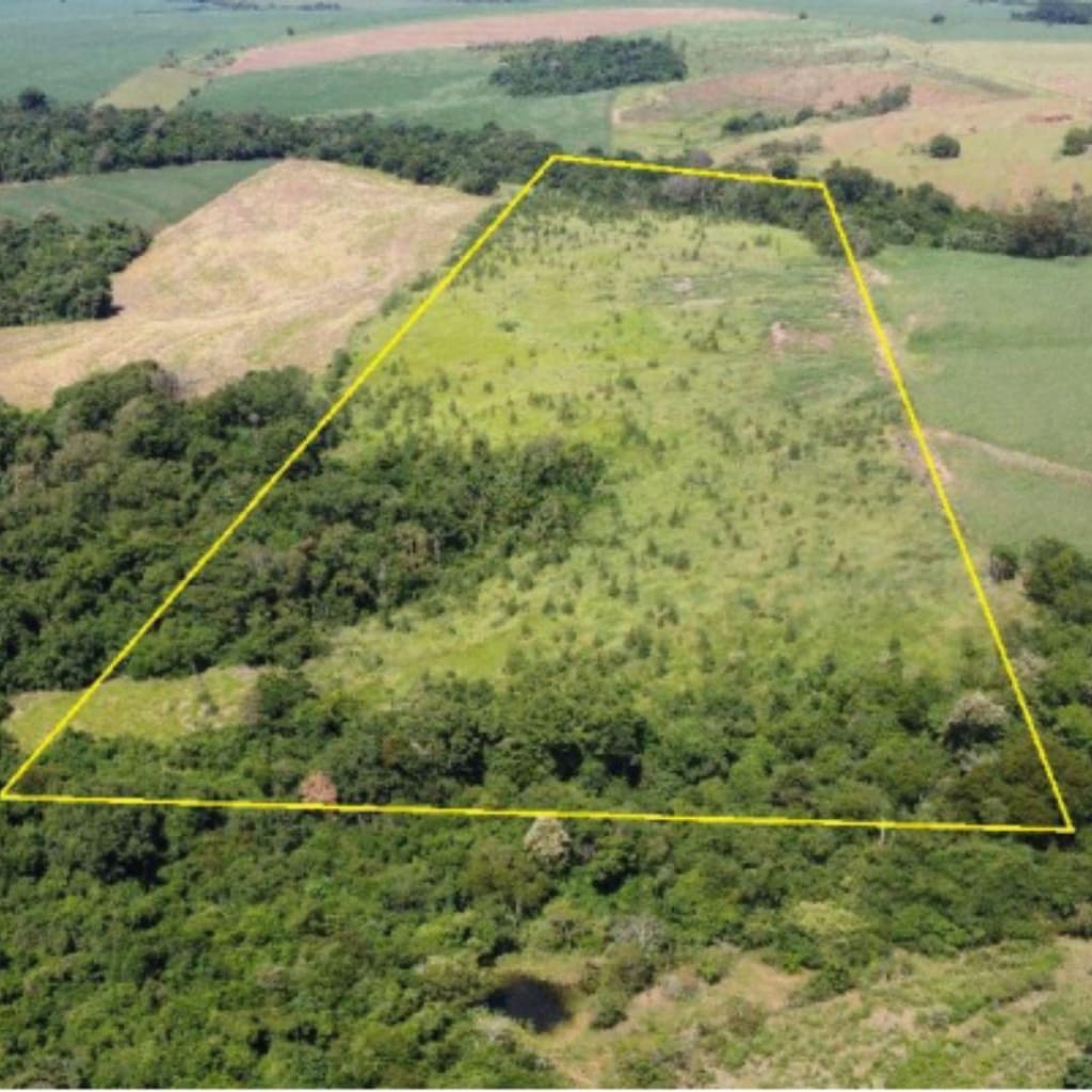 Foto 6 de 7: Area Rural em leilão em Janiópolis - PR — IMÓVEL RURAL COM ÁREA DE 121.000 m2- Em JANIÓPOLIS/PR