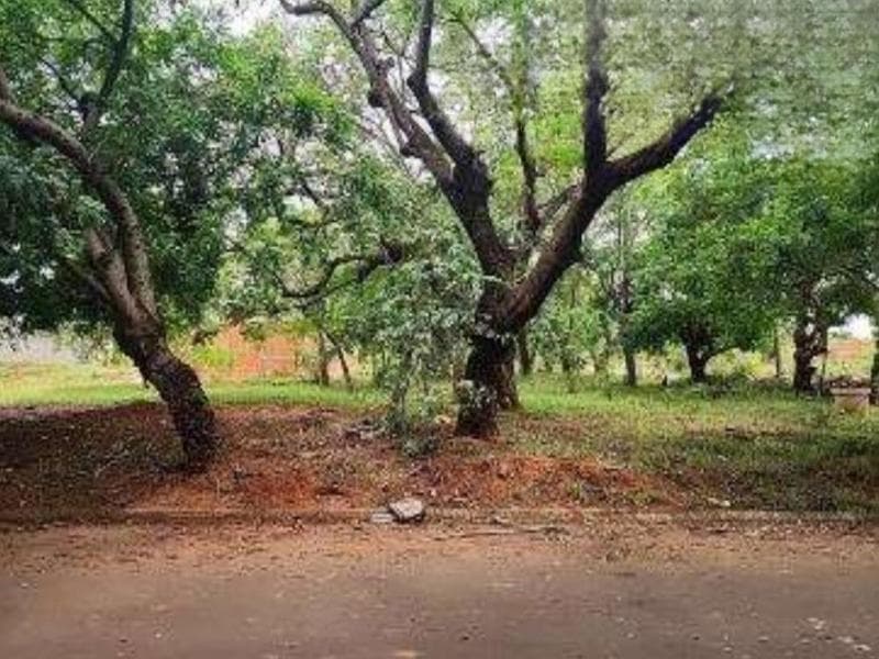 Foto 3 de 5: Terreno em leilão em Araçatuba - SP — Lote, Desocupado, Araçatuba / SP