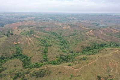 Foto 1 de 5: Area Rural em leilão em Bambuí - MG — FAZENDA "PONTE ALTA E CAN CAN MEIO" EM BAMBUÍ/MG.