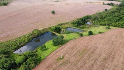 Foto 2 de 5: Area Rural em leilão em Gameleira De Goiás - GO — IMÓVEL RURAL COM ÁREA TOTAL 14,52 hectares- GOIAS/GO