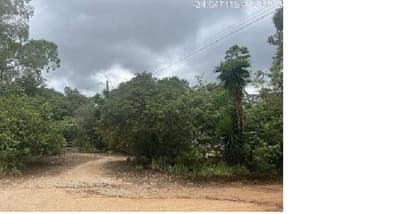 Foto 7 de 10: Area Rural em leilão em Itapeva - SP, bairro Lagoa Seca — (50%) Imóvel Rural, 9,68ha, plantio agrícola, mata nativa, eucalipto, Bairro Lagoa Seca