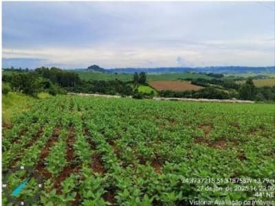 Foto 3 de 5: Area Rural em leilão em Rio Branco Do Ivaí - PR — IMÓVEL RURAL COM ÁREA DE 3,9279 hectares- Em GRANDES RIOS/PR