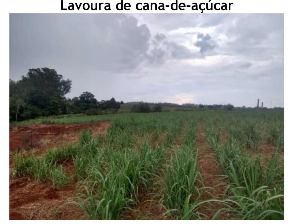 Foto 5 de 6: Area Rural em leilão em Araras - SP — PROPRIEDADE RURAL COM 5,07 ALQUEIRES PAULISTAS - ARARAS/SP