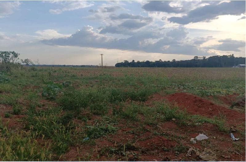 Foto 5 de 5: Area Rural em leilão em Cabixi - RO — IMÓVEL RURAL, 8.2305,59HA, CABIXI/RO - CULTIVO DE GRÃOS, BEIRA RODOVIA E APENAS 4KM DO PERÍMETRO URBANO
