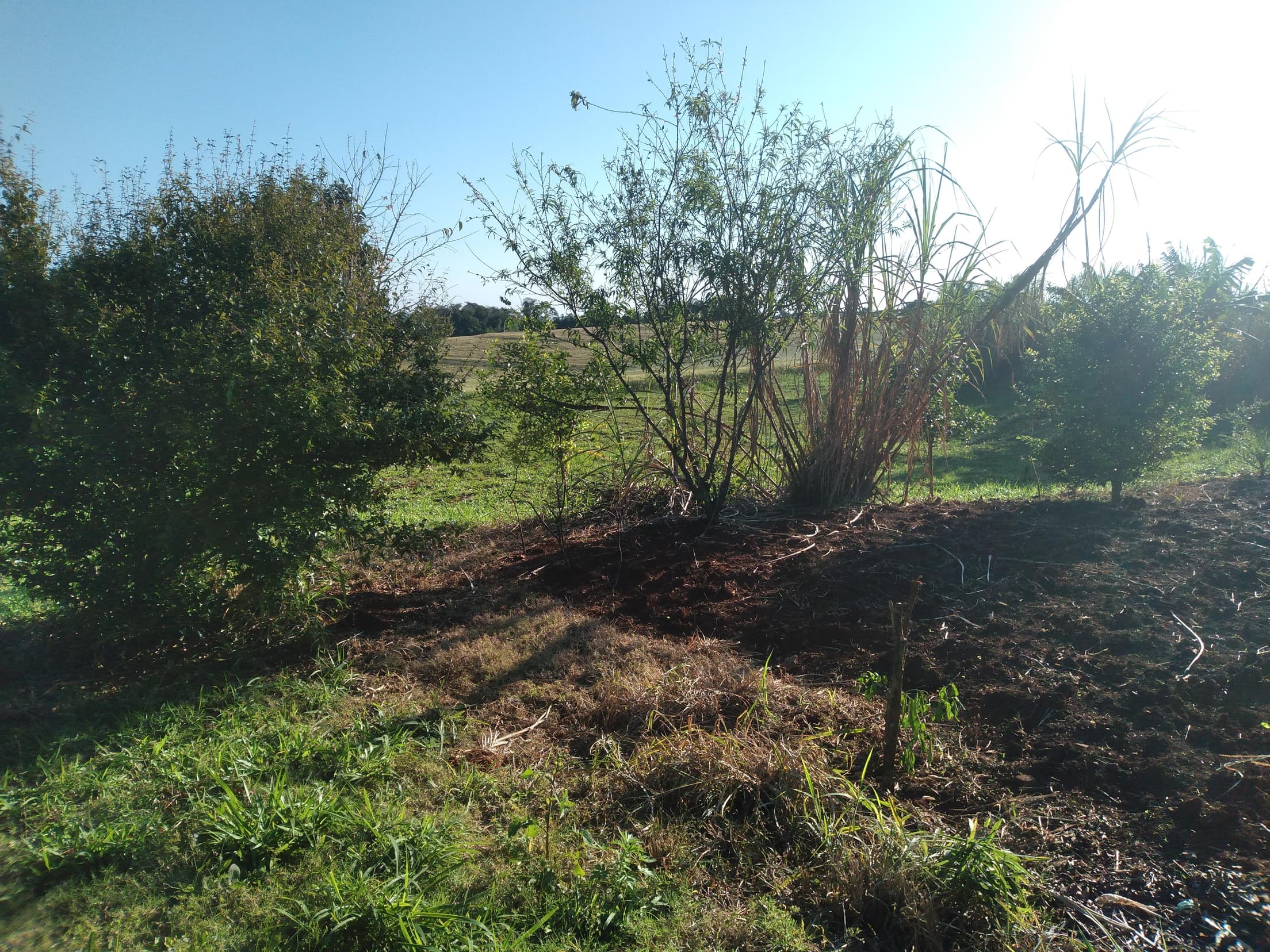 Foto 12 de 41: Area Rural em leilão em Capitão Leônidas Marques - PR — Gleba Urbana Desocupada 27.837m2 no Bairro São Gabriel em Capitão Leonidas Marques/PR