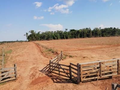 Foto 9 de 13: Area Rural em leilão em Porto Dos Gaúchos - MT — Imóvel Rural com área de 53 hectares - Porto dos Gaúchos/MT