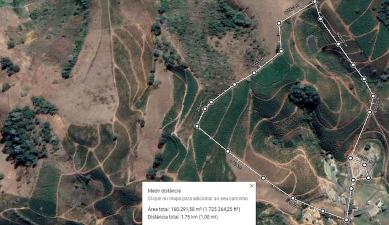 Foto 19 de 49: Area Rural em leilão em Caiana - MG — IMÓVEL RURAL COM ÁREA TOTAL DE 16,99,68 hectares- Em CAIANA/MG