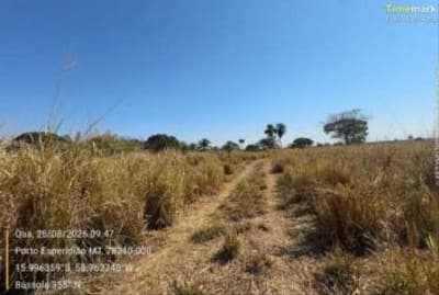 Foto 2 de 9: Area Rural em leilão em Porto Esperidião - MT — IMÓVEL RURAL | A.T 36,323HA | SÍTIO SÃO DOMINGOS | PORTO ESPERIDIÃO/MT