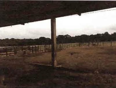 Foto 3 de 9: Terreno em leilão em Porto Dos Gaúchos - MT — IMÓVEL RURAL | A.T. 51 HA | ESTÂNCIA BLAU - EM PORTO DOS GAÚCHOS/MT