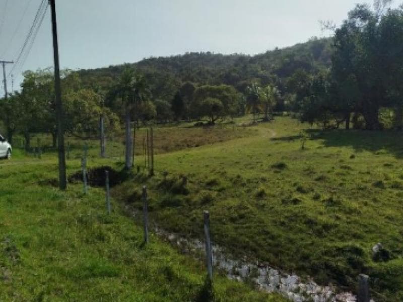 Foto 7 de 7: Terreno em leilão em Jaguaripe - BA, bairro Pirajuia — Lote, 33000.0 m2, Jaguaripe / BA