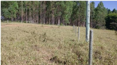 Foto 6 de 9: Area Rural em leilão em Tiros - MG — Tiros/MG - Área Rural com 38.13Ha - Desocupado