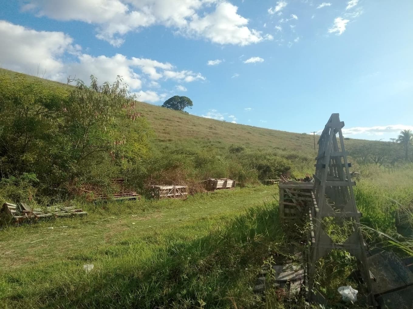 Foto 35 de 61: Terreno em leilão em Muriaé - MG, bairro Sofocó — IMÓVEL URBANO COM ÁREA TOTAL DE 48.206,32 m2- Em MURIAÉ/MG
