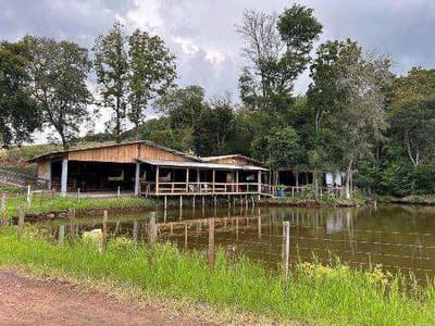 Foto 10 de 18: Area Rural em leilão em Francisco Beltrão - PR — FRAÇÃO IDEAL referente ao LOTE RURAL n° 98, da Gleba 03-FB de Francisco Beltrão/PR