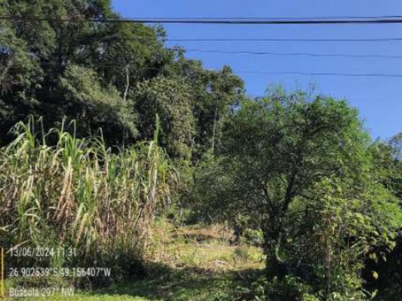 Foto 6 de 11: Terreno em leilão em Blumenau - SC, bairro Passo Manso — Lote, 8708.13 m2, Blumenau / SC