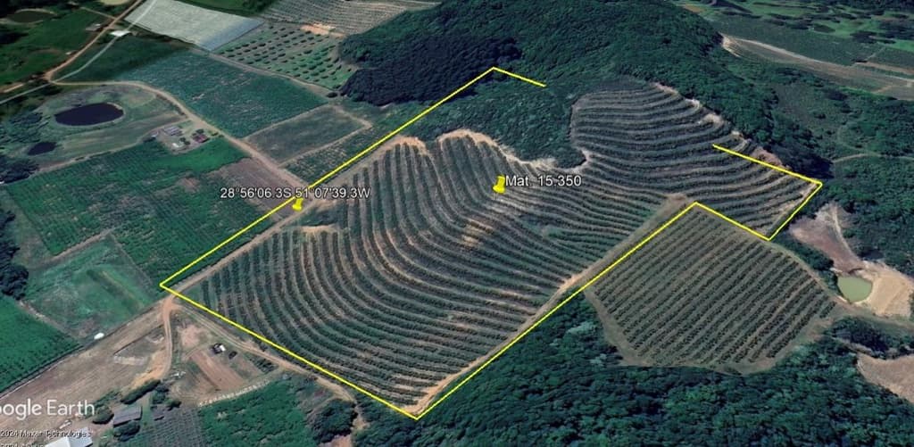 Area Rural em leilão em São Marcos - RS, bairro Interior — IMÓVEL RURAL COM ÁREA DE 62.250,00 M2 LINHA RIACHUELO EM SÃO MARCOS -RS