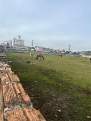 Foto 6 de 11: Terreno em leilão em Lages - SC, bairro Universitário — Terreno, A.T. 7.114m², Cidade das Araucárias, Bairro Universitário, Lages/SC