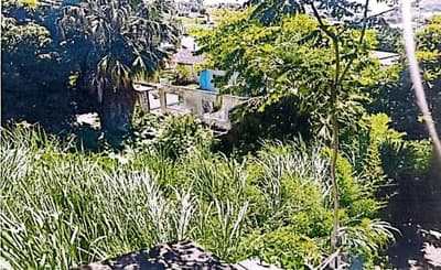 Foto 7 de 7: Terreno em leilão em São João - PR — IMÓVEL URBANO COM ÁREA TOTAL DE 675.00 m2- Em SÃO JOÃO/PR