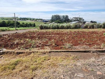 Foto 7 de 7: Terreno em leilão em Vista Gaúcha - RS, bairro Centro — LOTE URBANO Nº 17 DA QUADRA 48, COM A ÁREA SUPERFICIAL DE 511,68M² SITUADO NA CIDADE DE VISTA GAÚCHA/RS