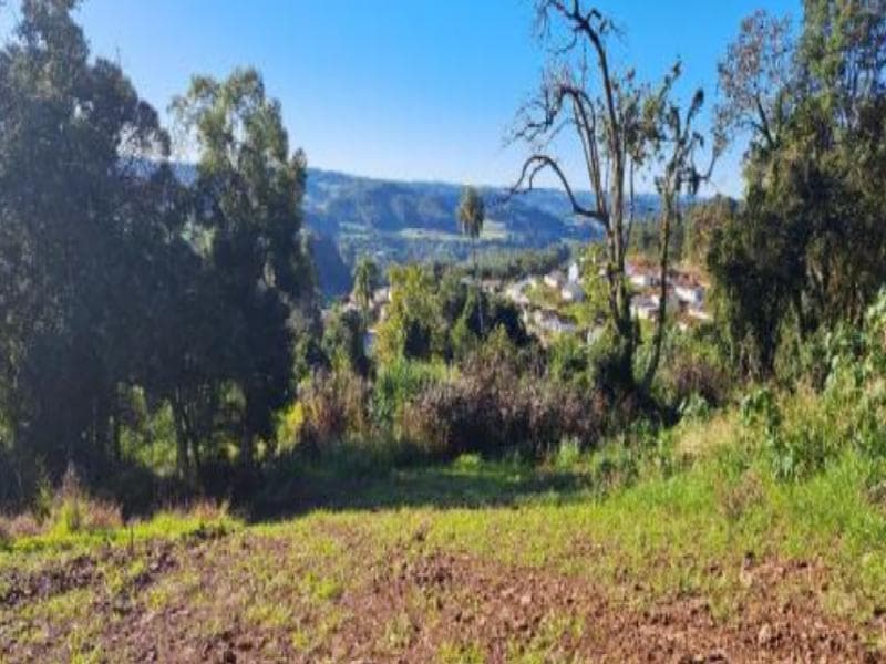 Foto 5 de 8: Terreno em leilão em Cordilheira Alta - SC, bairro Interior — Lote, 300.0 m2, Cordilheira Alta / SC