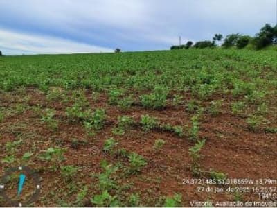 Foto 2 de 5: Area Rural em leilão em Rio Branco Do Ivaí - PR — IMÓVEL RURAL COM ÁREA DE 3,9279 hectares- Em GRANDES RIOS/PR
