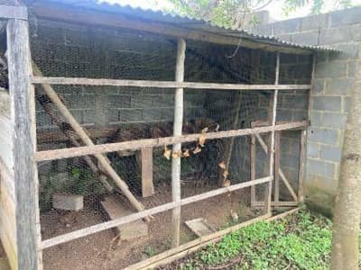 Foto 12 de 15: Casa em leilão em Pindamonhangaba - SP, bairro Nossa Senhora do Perpétuo Socorro — Casa 361m² com Terreno 2150m² | Pindamonhangaba-SP | Nossa Senhora Do Perpétuo Socorro - 3 Dorms, 4 Banheiros - Financiamento até 420 Meses!