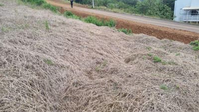 Foto 2 de 5: Terreno em leilão em Saudades - SC, bairro Saudades — LOTE URBANO Nº 04, DA QUADRA Nº 122, LOCALIZADO EM SAUDADES/SC ÁREA DE 360M²
