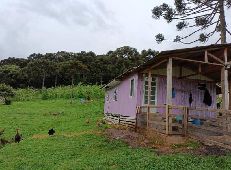 Foto 13 de 16: Area Rural em leilão em São Joaquim - SC — IMÓVEL RURAL COM ÁREA SUPERFICIAL DE 67.085,02 m² EM SÃO JOAQUIM-SC