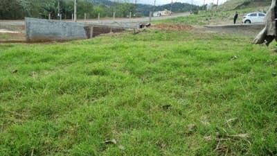 Foto 5 de 6: Terreno em leilão em Saudades - SC — LOTE URBANO Nº 02, DA QUADRA Nº 121, LOCALIZADO EM SAUDADES/SC ÁREA DE 436,95M²