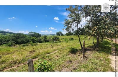 Area Rural em leilão em Anhembi - SP — Imóvel Rural, A.T. 382 ha, Barreirinho (Parte ideal 2,5888% ou 11,4 ha)