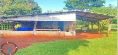 Foto 7 de 8: Area Rural em leilão em Nova Olímpia - MT — IMÓVEL RURAL - "FAZENDA IBIPORÃO I - 140HA, NOVA OLÍMPIA/MT - EXPLORAÇÃO DE PECURÁRIA