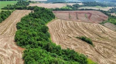 Foto 2 de 10: Area Rural em leilão em Nova Prata Do Iguaçu - PR — IMÓVEL RURAL COM ÁREA DE 121.000 m2- Em NOVA PRATA DO IGUAÇU