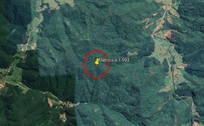 Foto 3 de 5: Terreno em leilão em Apiúna - SC, bairro Zona Rural — IMÓVEL RURAL COM ÁREA TOTAL DE 16,135 ha- Em APIÚNA/SC