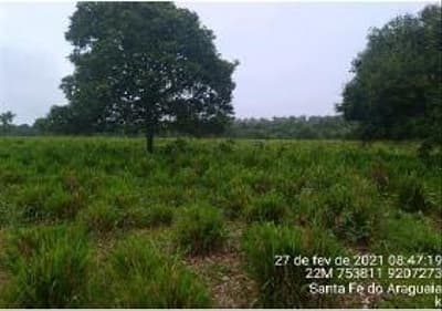 Foto 5 de 8: Area Rural em leilão em Santa Fé Do Araguaia - TO — IMÓVEL RURAL - 247,5897HA, LOT. "RIOS LONTA E ANDORINHA 5ª ETAPA EM SANTA FÉ DO ARAGUAIA/TO