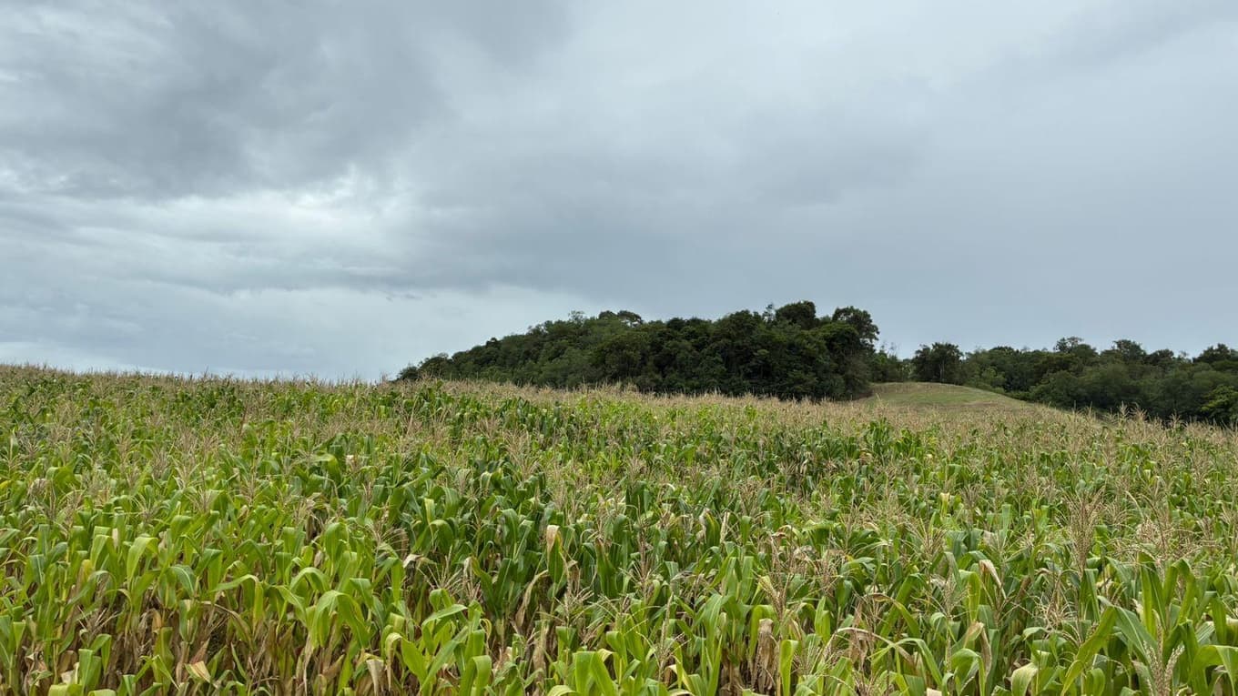 Area Rural em leilão em São José Do Inhacorá - RS — IMÓVEL RURAL COM ÁREA DE 9.00 HA EM SÃO JOSÉ DO INHACORÁ