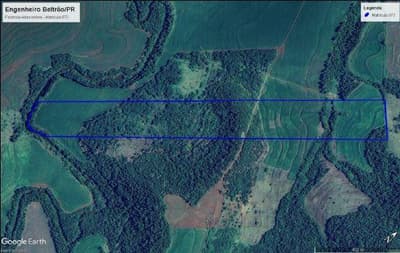 Area Rural em leilão em Engenheiro Beltrão - PR — Fazenda Adamantina com área de 13,00 alqueires, ou sejam 31,46 ha. Localizado no Município de Engenheiro Beltrão/PR.
